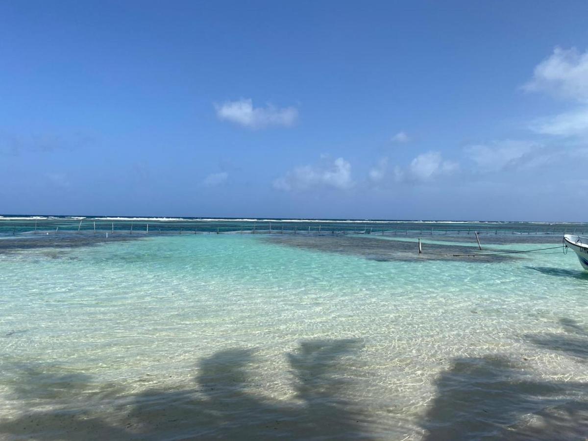 Hotel Blue Reef Frente Al Mar Mahahual Exteriér fotografie
